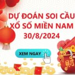 Soi Cầu XSMN 30/8/2024